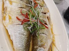 清蒸白水鱼-状元楼(金溪路店)