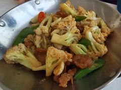 -云中小雅