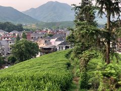 -听风阁农家私房菜茶楼(龙坞店)