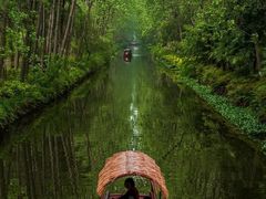 -合肥滨湖国家森林公园