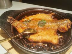 -九毛九西北菜(百信广场店)