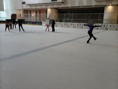 -冰纷万象滑冰场(二七万象城店)