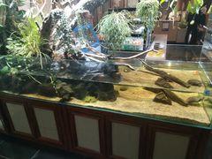 -甄花精致料理自助(城市阳台店)