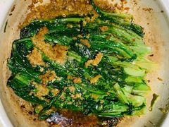-三强鸽子(中原路店)