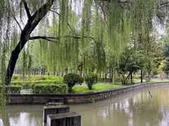 -洛阳市隋唐城遗址植物园