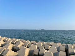 -青岛奥林匹克帆船中心