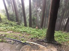 -太阳湾风景区