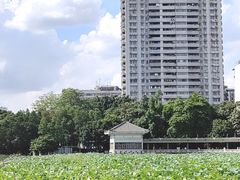 -荔湾湖公园