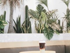 -CoCo都可(魔力月光店)