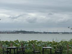 -七的湖·晚芳亭·阳澄湖农家菜·大闸蟹(莲花岛店)