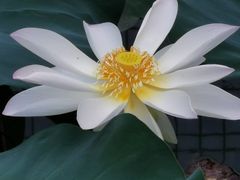 -后襄河公园