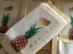 -蒲公英(五里店)