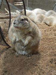 -Zoolung Zoolung动物主题公园(海信广场店)