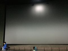 -天幕新彩云国际影城(激光巨幕店)