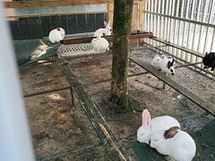 -洪湖家庭农场·团建·露营·会议