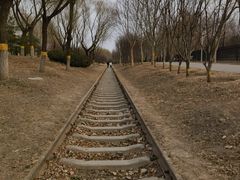 -永定河休闲森林公园