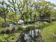 -上海植物园-4号门售票处
