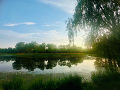 -东郊湿地公园