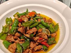 -唐猫庭院·千年陕菜(大唐不夜城店)