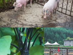 -红河谷漂流