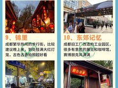 -成都大熊猫繁育研究基地
