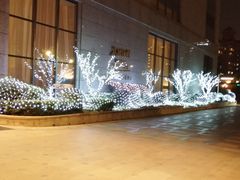 -上海金桥红枫万豪酒店-万豪中餐厅