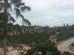 -东芭乐园
