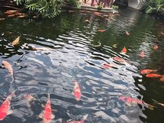 -香麒园·过桥米线·南湖雅宴