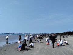 -江山半岛白浪滩景区