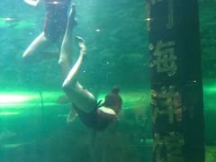 -洛阳龙门海洋馆