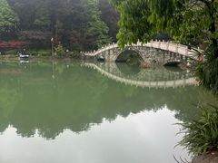 -铁山坪森林公园