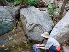 -大岭沟猕猴桃谷风景区