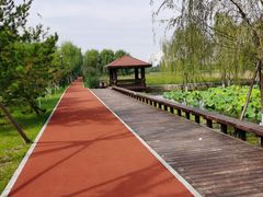 -永定河休闲森林公园