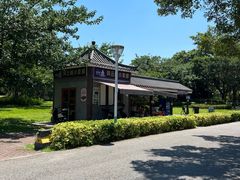 -风云岭森林公园