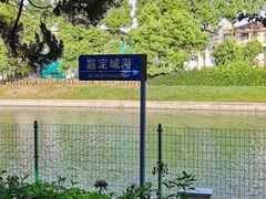 -嘉定紫藤园