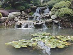 -都江堰景区