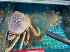 -金海湾海鲜排档(朱家尖店)