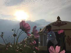 -额尔敦传统涮(公园西路店)