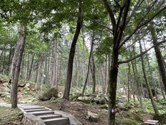 -洛阳白云山景区