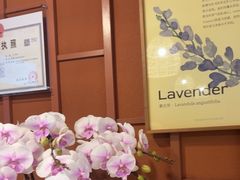 -LANN I 蘭·泰式古法按摩(高岛屋百货店)