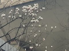 -上海全国土特产食品商场(淮海中路店)