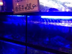 水产区-一品活虾(市民店)