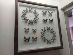 -陕西自然博物馆