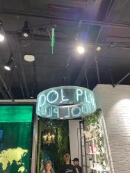 -IDOL-PLUS
