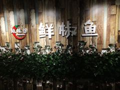 -鲜椒鱼·雅安地标性美食