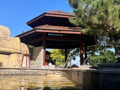 -徂徕山森林康养度假谷温泉