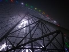 -大锅强·蒸海鲜青岛菜(吾悦广场店)