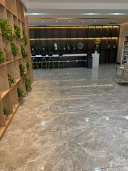 -碧莲盛·不剃发植发