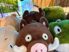 -金逸影城(中关村店)