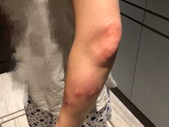 -杭州花家山庄